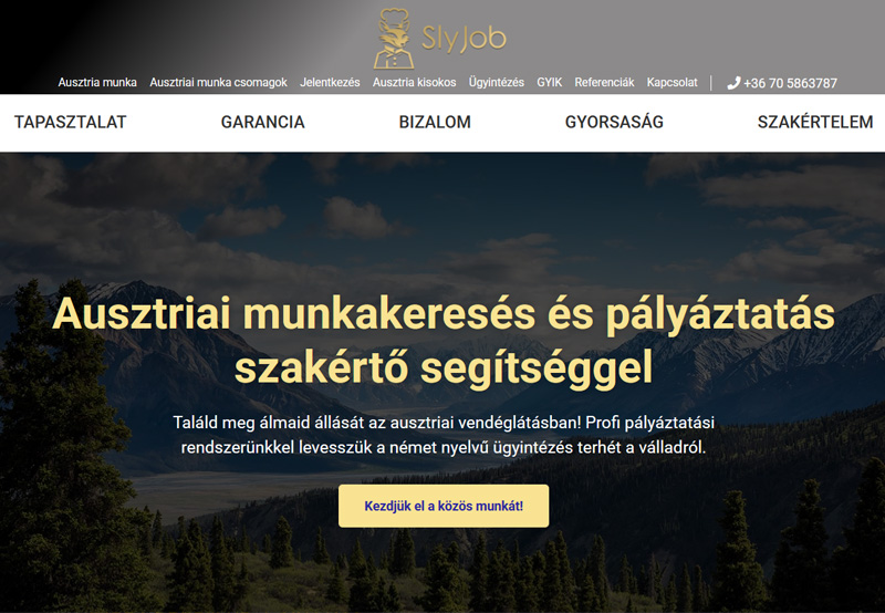 Slyjob Job Portal Structural Redesign